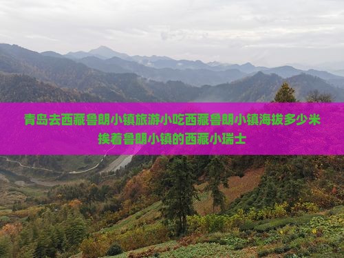 青岛去西藏鲁朗小镇旅游小吃