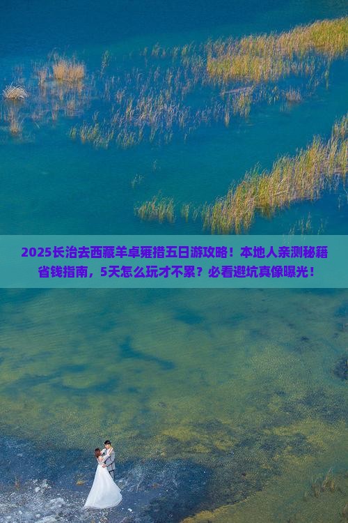 长治去西藏羊卓雍措五日游