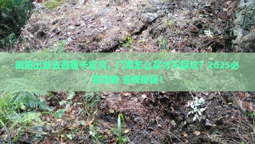 衡阳到西藏卡定沟门票