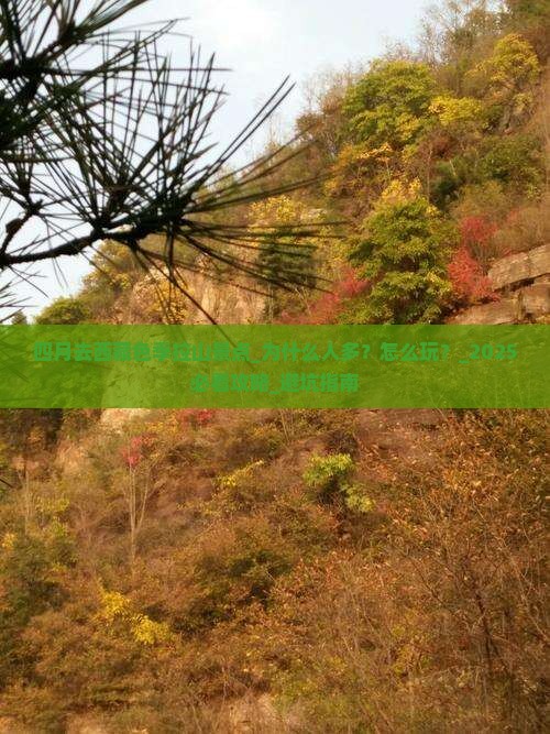 四月去西藏色季拉山景点