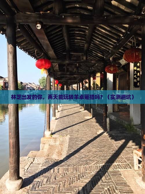 林芝到西藏羊卓雍措二日游
