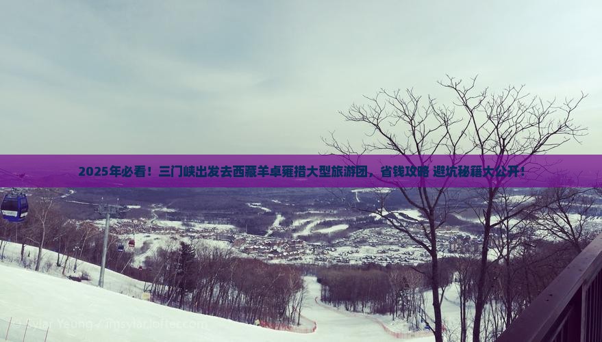 三门峡去西藏羊卓雍措大型旅游团