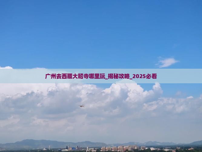 广州去西藏大昭寺哪里玩