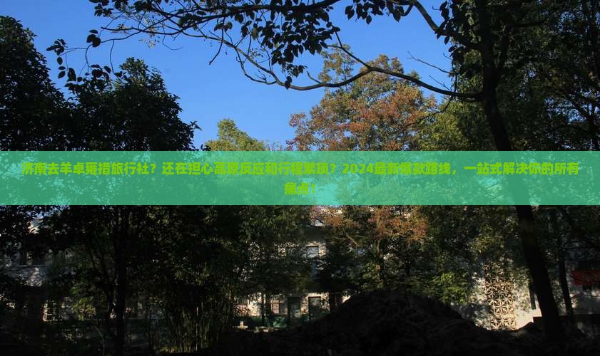济南去西藏羊卓雍措旅行社