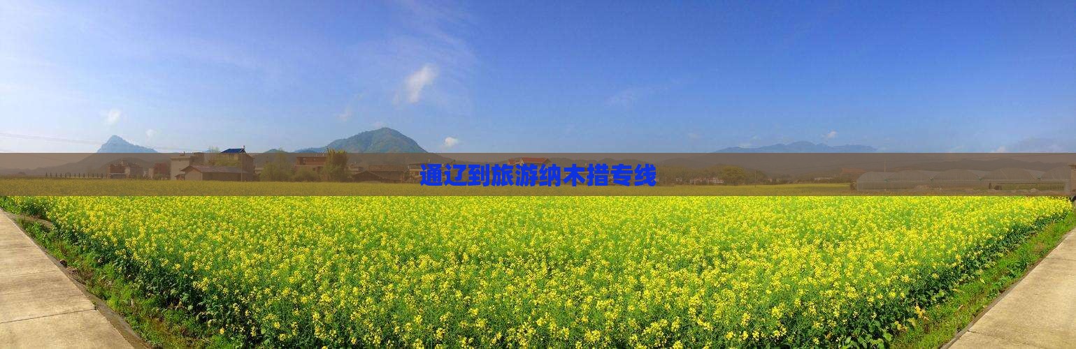 通辽到西藏纳木措旅行社