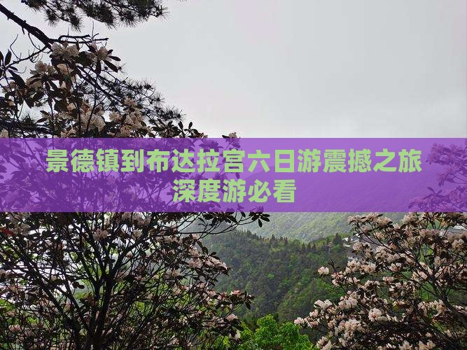 景德镇到西藏布达拉宫六日游