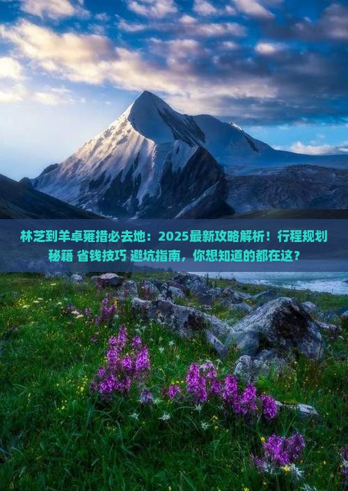 林芝到西藏羊卓雍措必去地