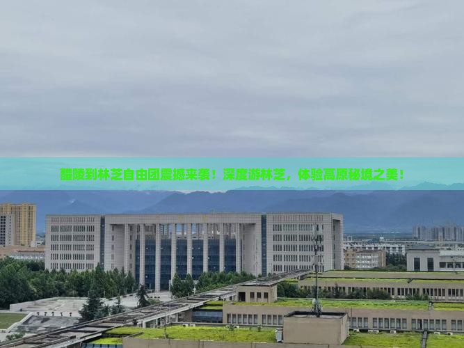 醴陵到西藏林芝自由团