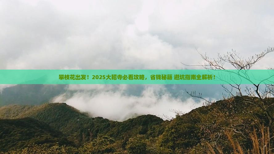攀枝花去西藏大昭寺景点