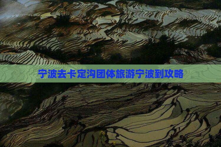 宁波去西藏卡定沟团体旅游