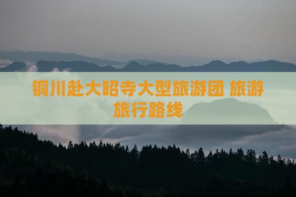 铜川去西藏大昭寺大型旅游团