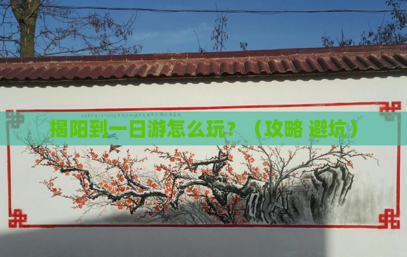 揭阳到西藏一日