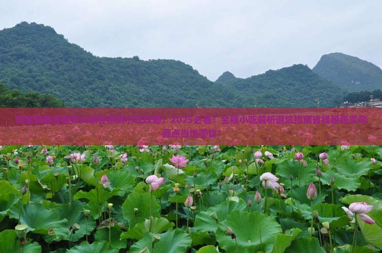 鸡西到西藏雅鲁藏布大峡谷旅游小吃