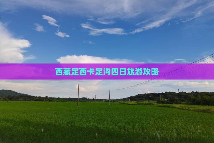 定西去西藏卡定沟四日游