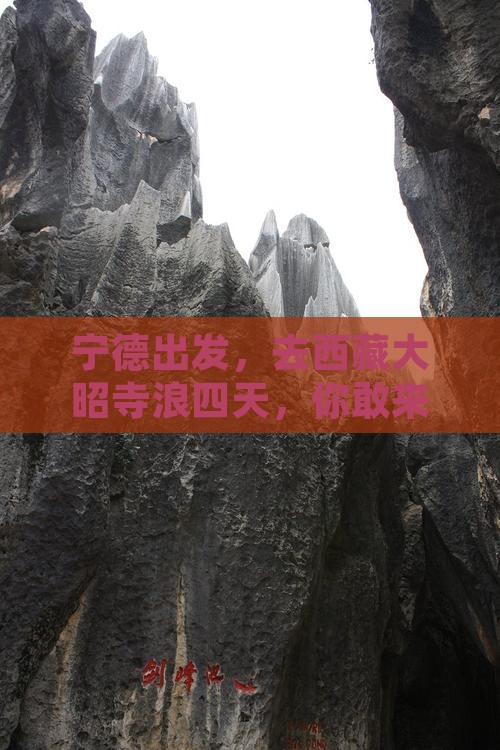 宁德去西藏大昭寺四日游