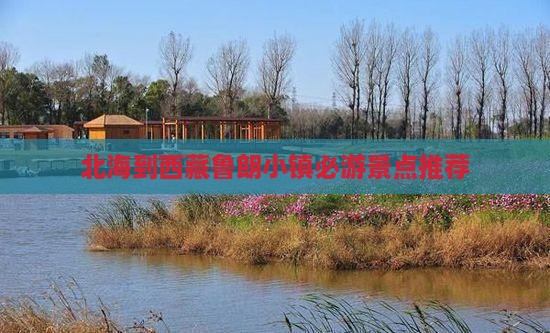 北海去西藏鲁朗小镇必去地