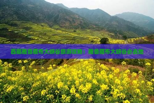 和田去西藏雅鲁藏布大峡谷必去地