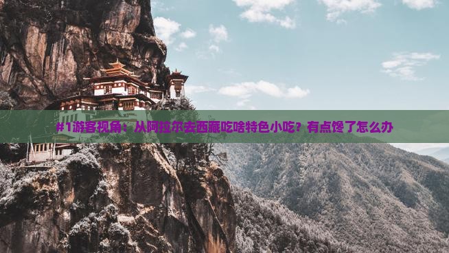 阿拉尔到西藏旅游小吃