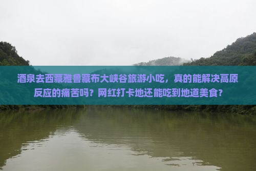 酒泉去西藏雅鲁藏布大峡谷旅游小吃