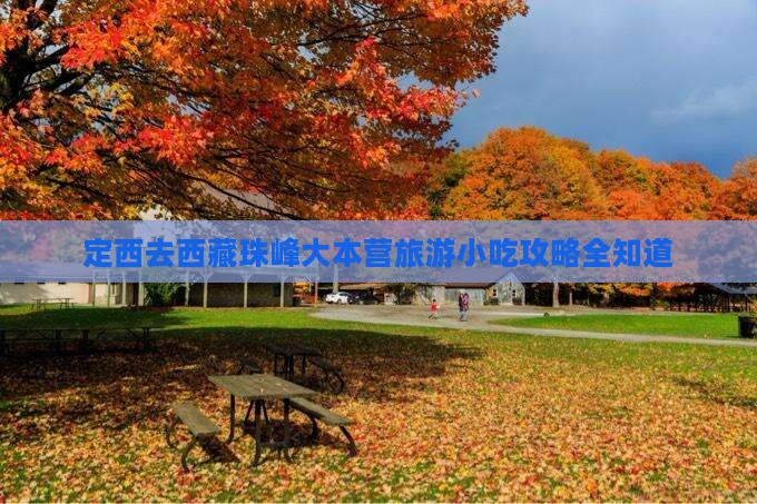 定西去西藏珠峰大本营旅游小吃