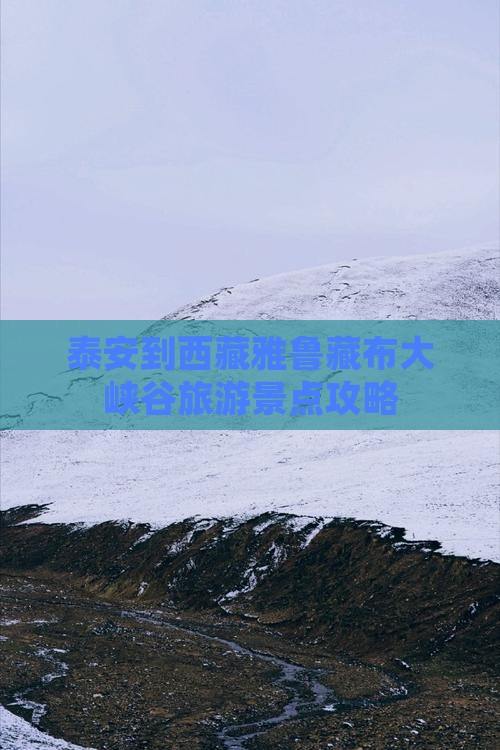 泰安到西藏雅鲁藏布大峡谷哪里玩