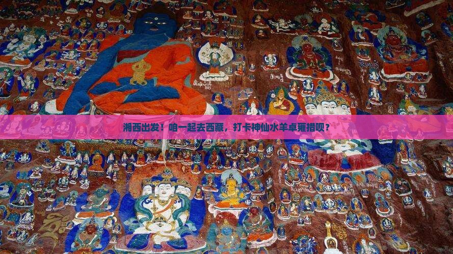 湘西到西藏羊卓雍措团体旅游