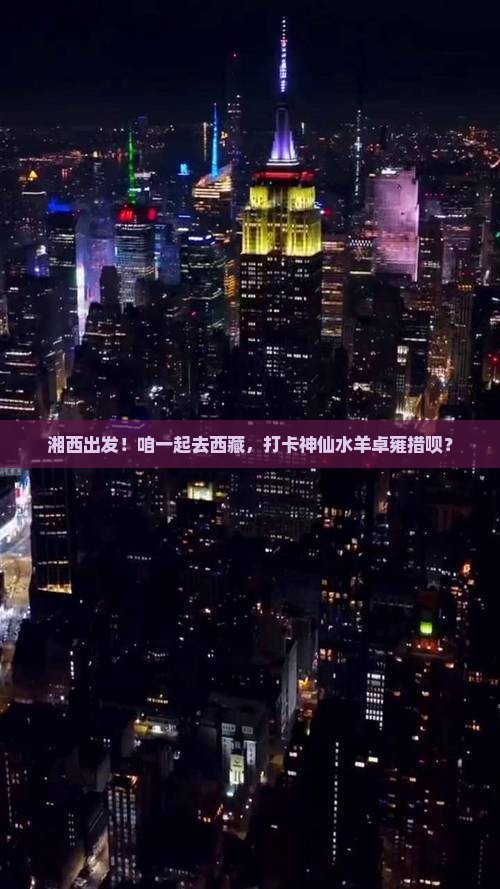 湘西到西藏羊卓雍措团体旅游