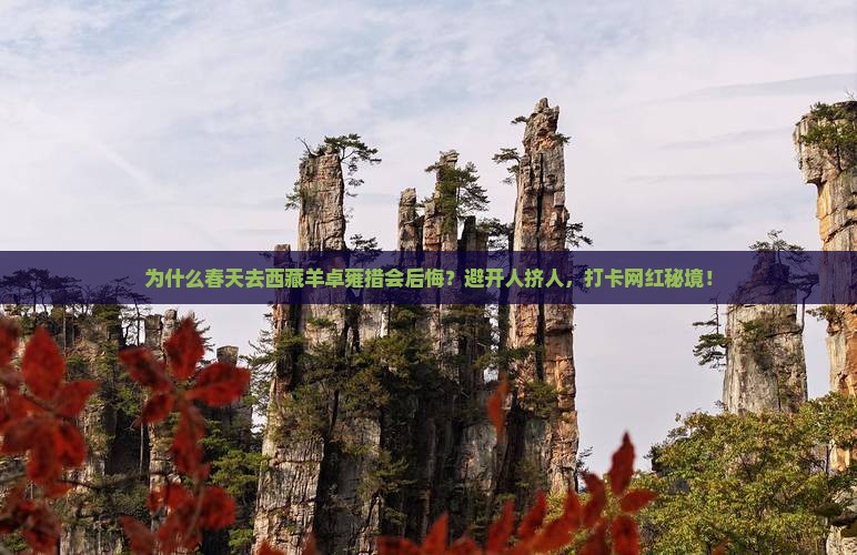 春天去西藏羊卓雍措必去地