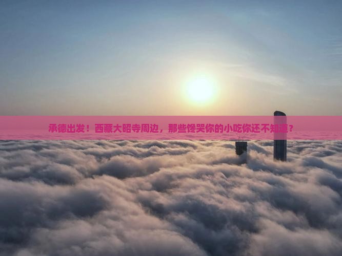 承德到西藏大昭寺旅游小吃