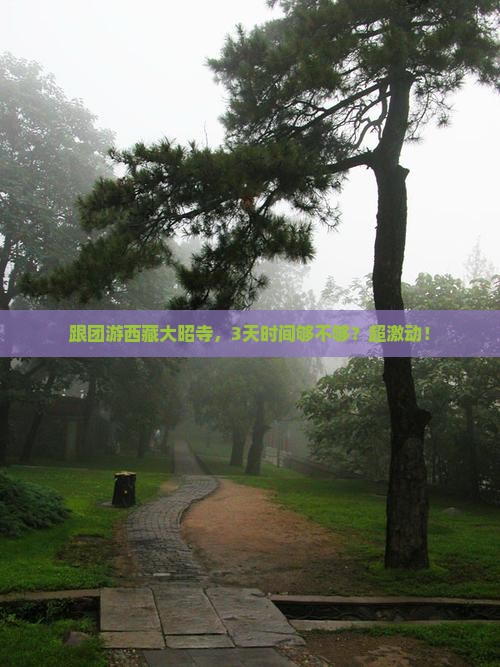 诸城到西藏大昭寺团体旅游