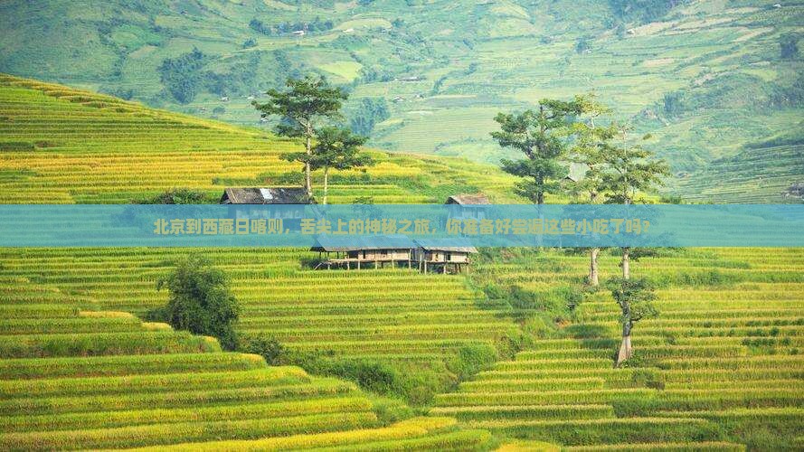 北京到西藏日喀则旅游小吃