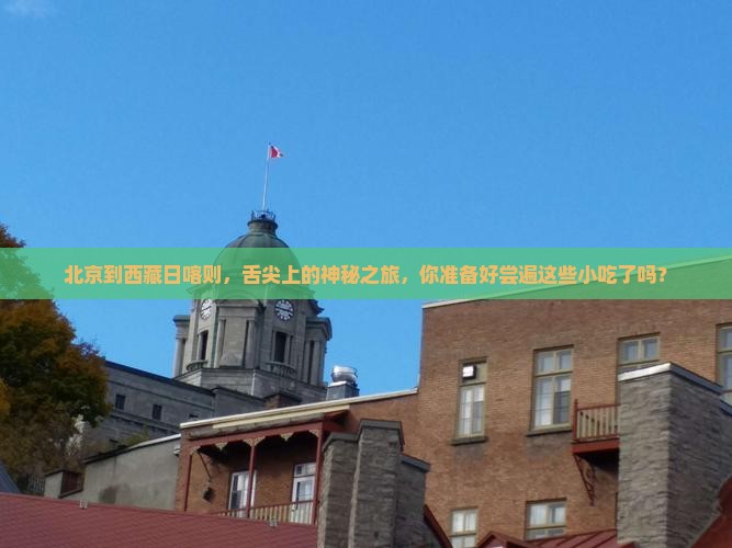 北京到西藏日喀则旅游小吃