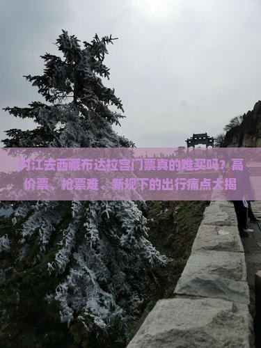 内江去西藏布达拉宫门票