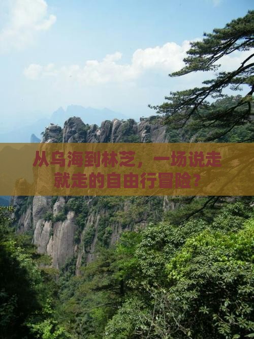 乌海市去西藏林芝自由行