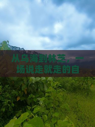 乌海市去西藏林芝自由行