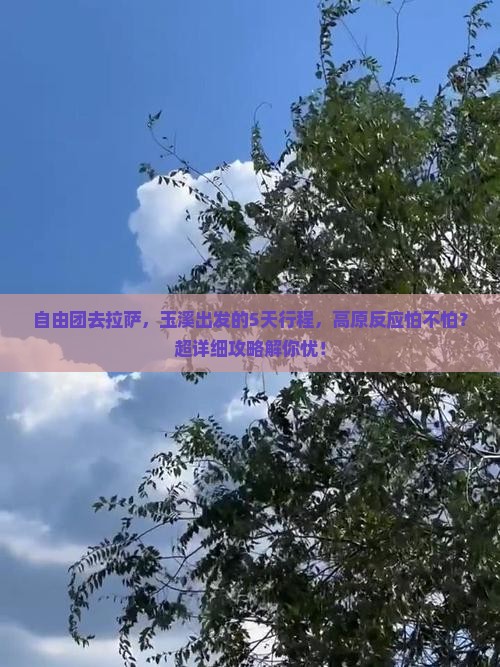 玉溪到西藏拉萨自由团 玉溪到西藏拉萨自由团