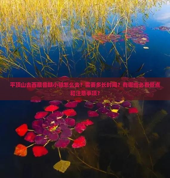 平顶山去西藏鲁朗小镇景点