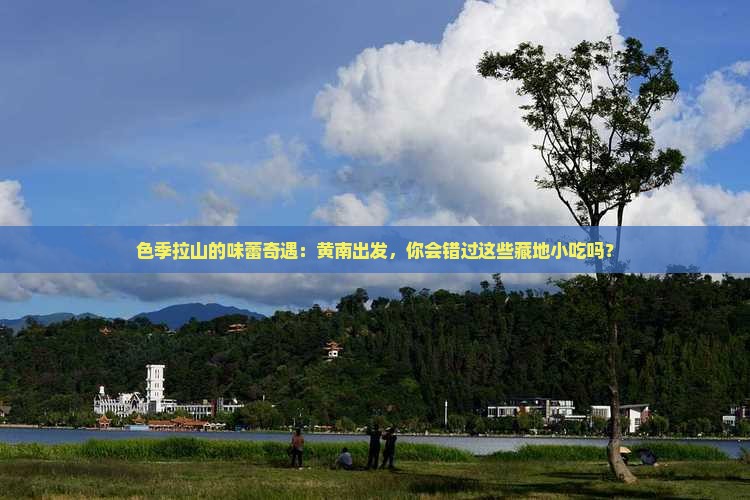 黄南去西藏色季拉山旅游小吃