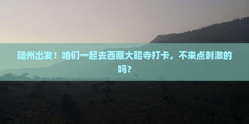 随州去西藏大昭寺团体旅游