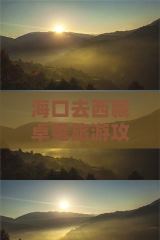海口去西藏羊卓雍措自由团
