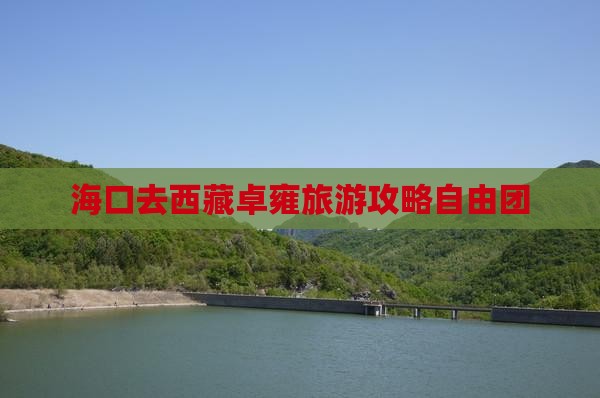 海口去西藏羊卓雍措自由团