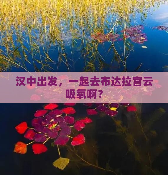汉中到西藏布达拉宫团体旅游