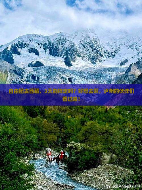 泸州到西藏自由团