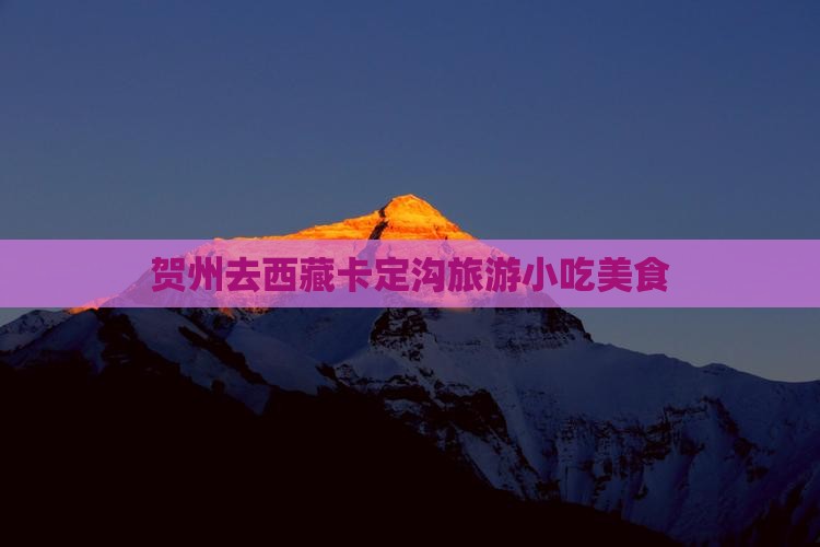 贺州去西藏卡定沟旅游小吃