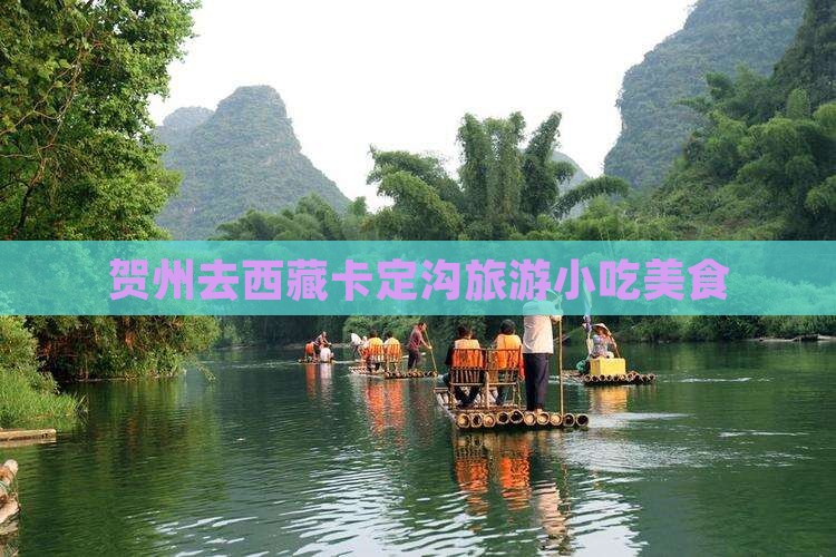 贺州去西藏卡定沟旅游小吃