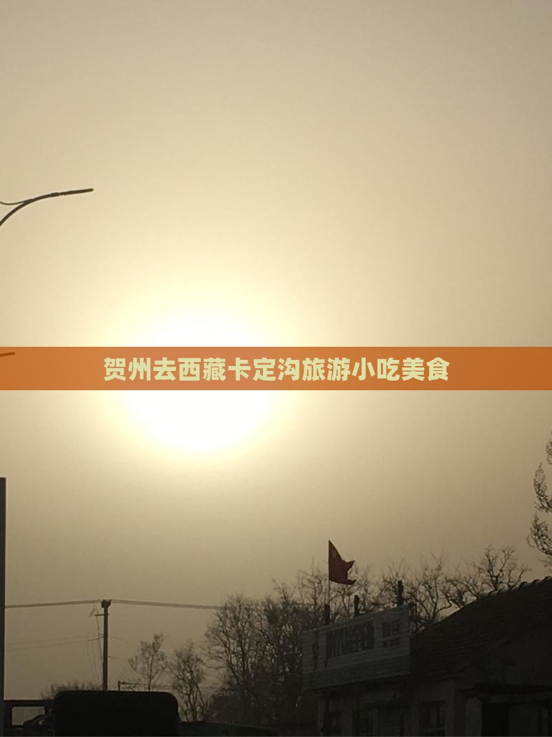 贺州去西藏卡定沟旅游小吃