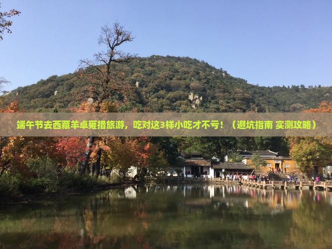 端午节去西藏羊卓雍措旅游小吃