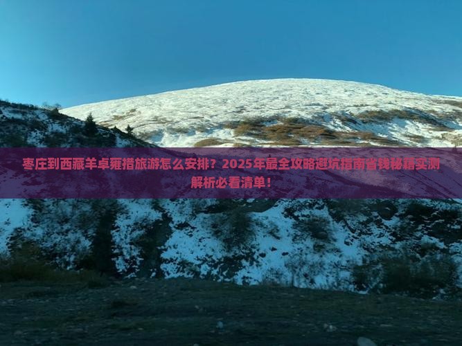 枣庄到西藏羊卓雍措旅游
