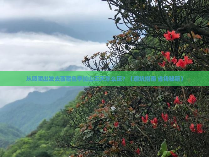 铜陵去西藏色季拉山五日游