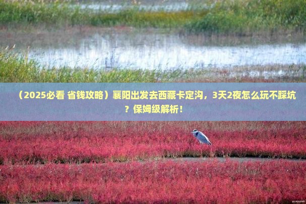襄阳到西藏卡定沟旅行社